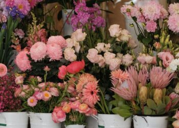 Una serie di vasi bianchi di fiori esposti sopra un ripiano in legno.